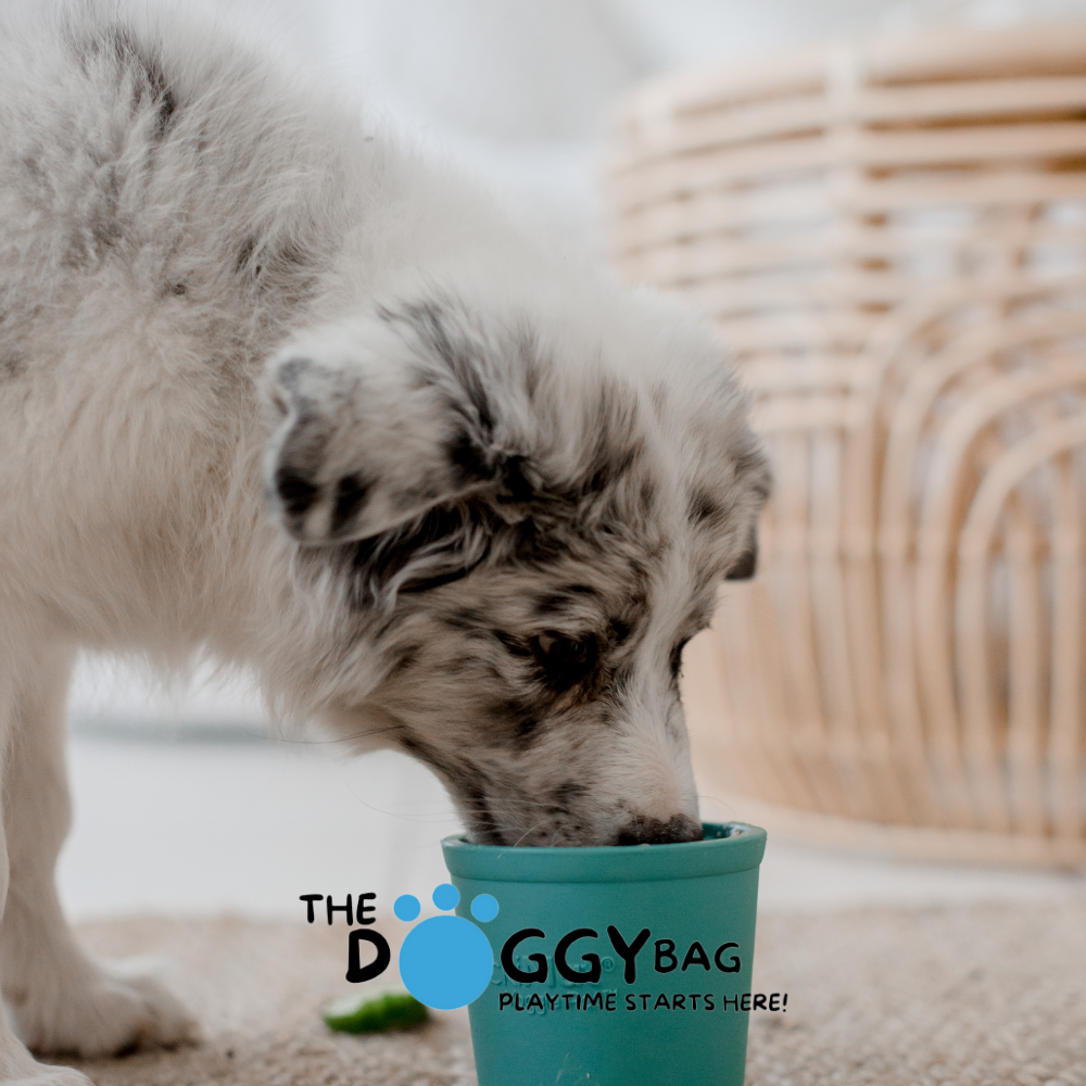 LickiMat® Yoggie Pot™ Slow Feeder Bowl