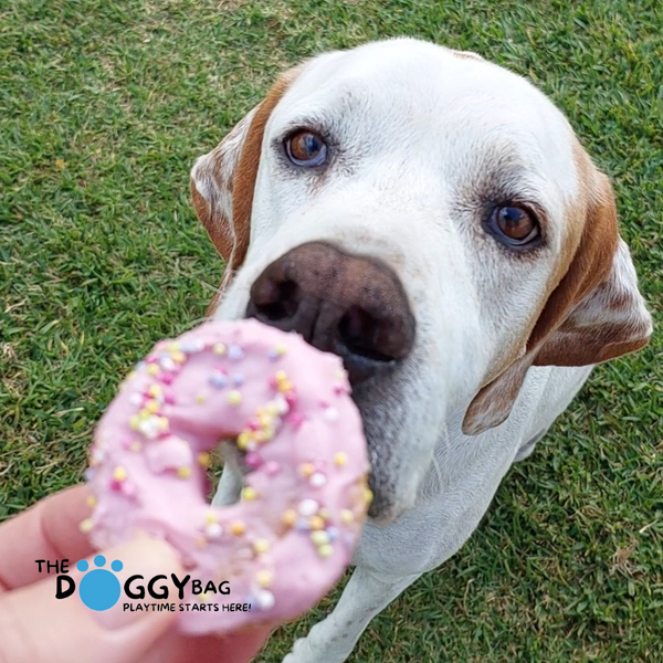 Doggylicious- Doggy Donuts
