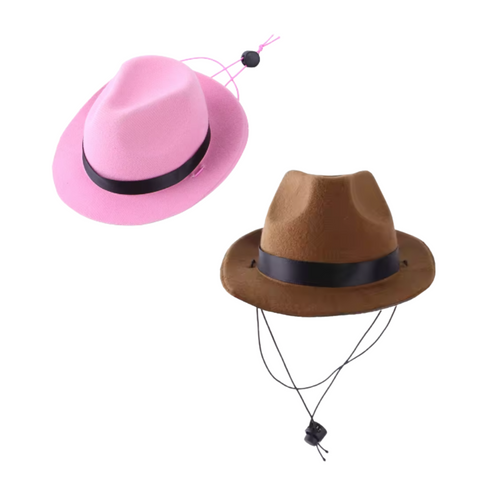 The Doggy Bag- Cowboy Hat - One size Adjustable