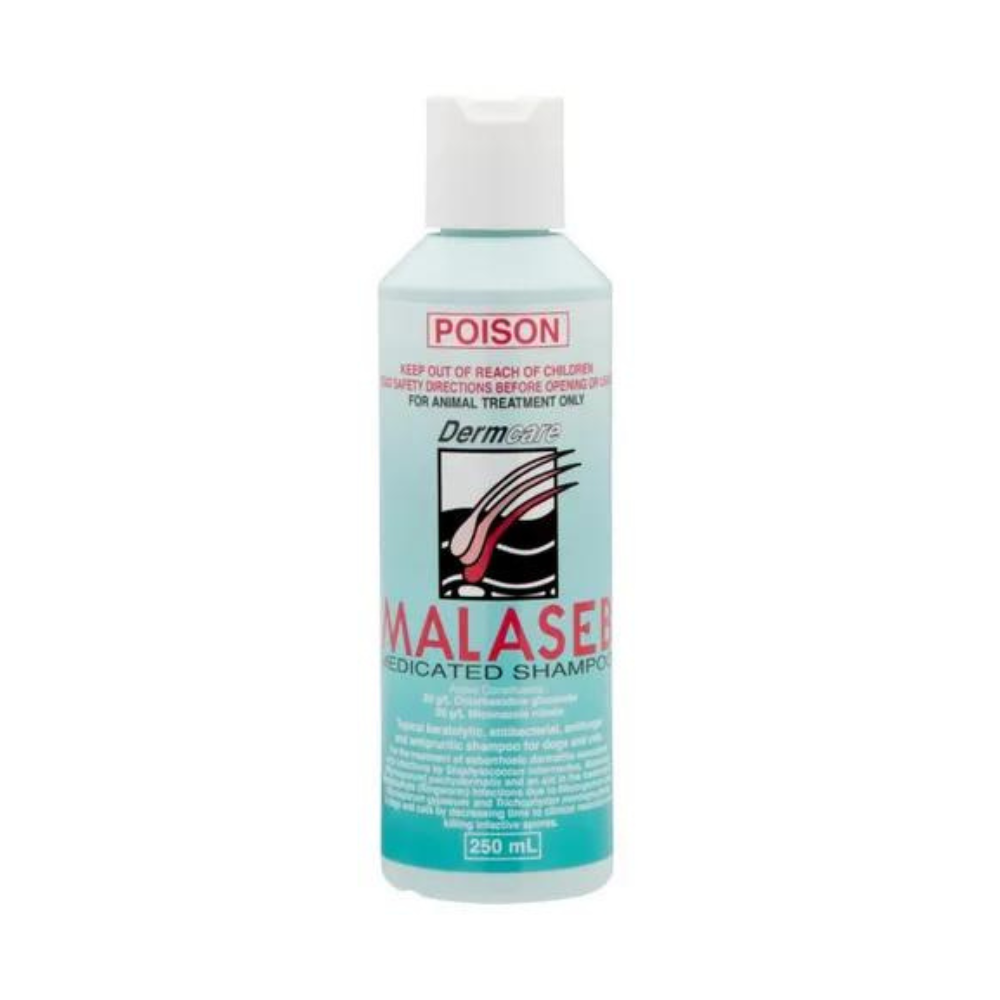 Malaseb Medicated Shampoo 250ml