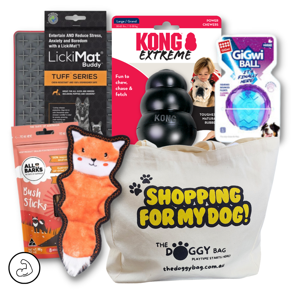 "The Entertainer" Dog Toy and Treat Bundle For Medium Dog's TUFF