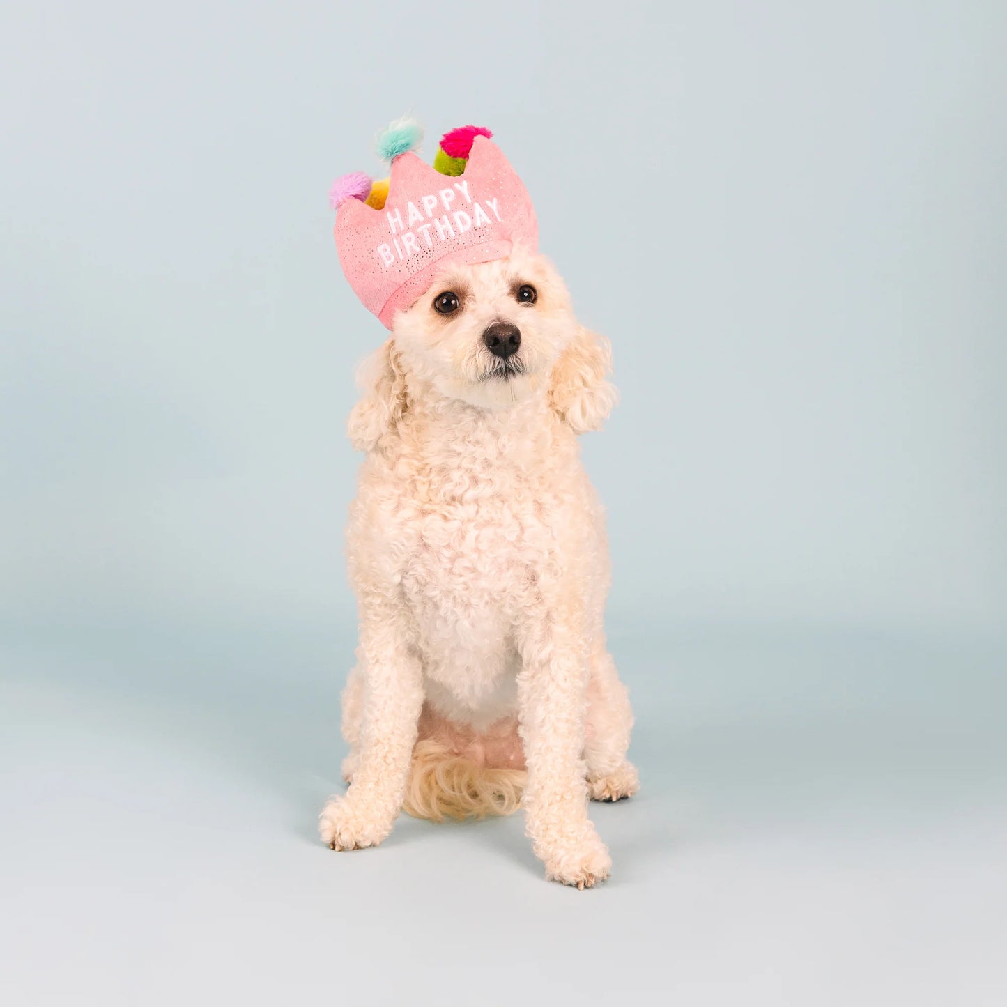 Fringe Studio "If The Crown Fits" Birthday Hat And Plush Dog Toy