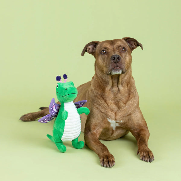 Fringe Studio "Flutter Rex" Plush Dog Toy