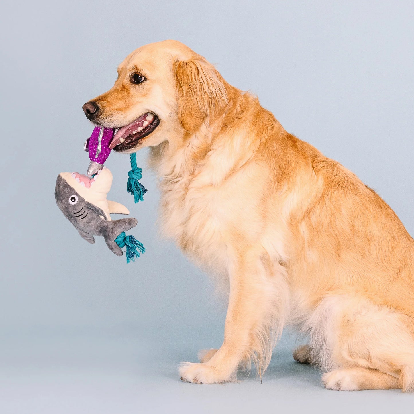 Fringe Studio "Shark Bait" Plush Dog Toy With Rope