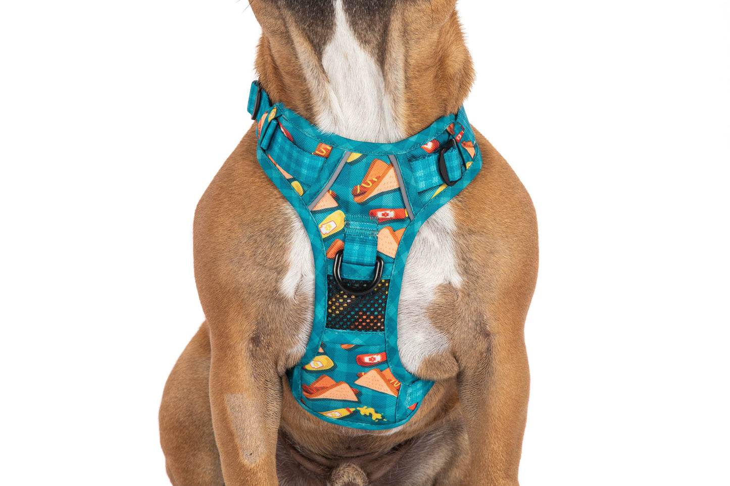 Big And Little Dogs THE ALL-ROUNDER DOG HARNESS: Sausage Sizzle