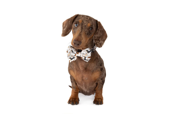 Big And Little Dogs-DOG COLLAR & BOW TIE: Dashie Lovers