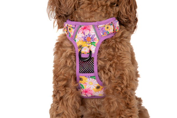 Big And Little Dogs-THE ALL-ROUNDER DOG HARNESS: Spring Fling