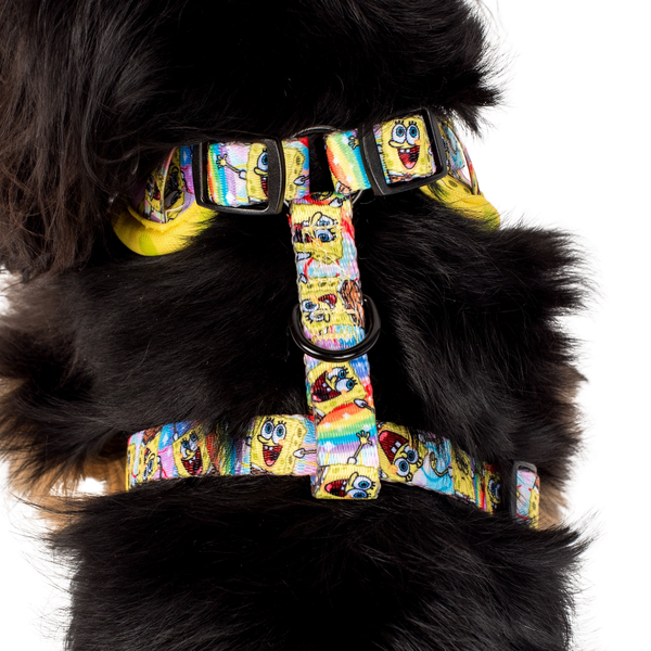 Pablo & Co- SpongeBob SquarePants: Adjustable Harness