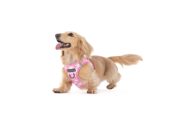 Big And Little Dogs- STEP-IN DOG HARNESS: Pink Milk Gingham