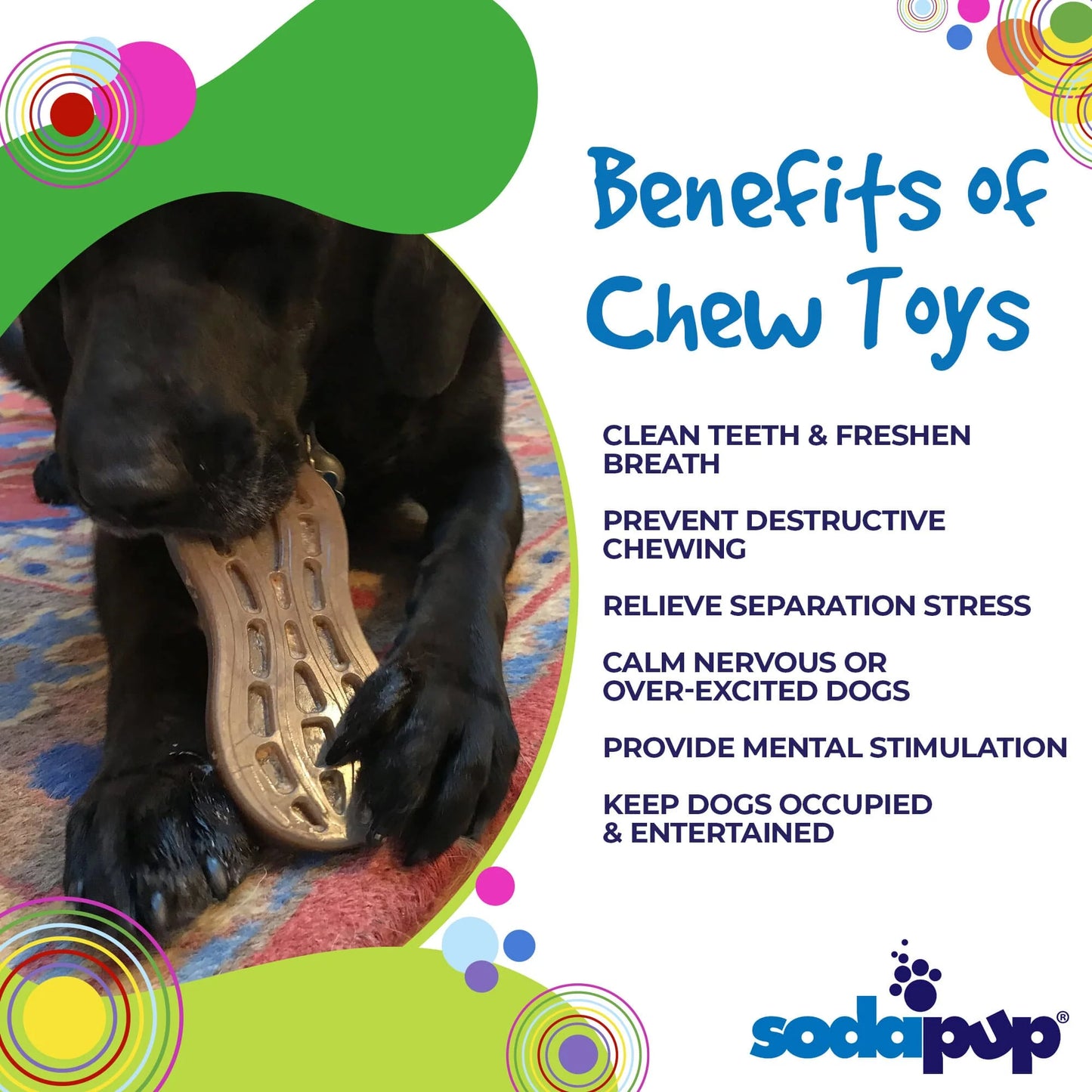 Sodapup® Nylon Peanut Butter Dispenser and Power Chewer Dog Toy