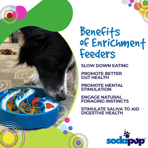 Sodapup Wave eBowl Slow Feeder Bowl For Dogs