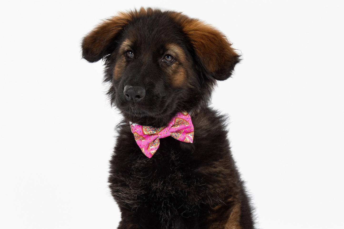 Big And Little Dogs-DOG COLLAR & BOW TIE: Pink Fairy Bread