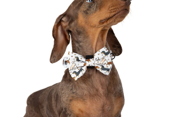 Big And Little Dogs-DOG COLLAR & BOW TIE: Dashie Lovers
