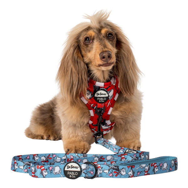 Pablo & Co-Dr. Seuss' The Cat in the Hat: Dog Leash