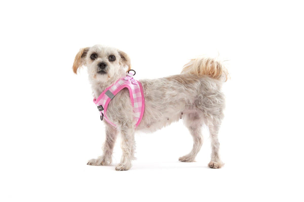Big And Little Dogs- STEP-IN DOG HARNESS: Pink Milk Gingham