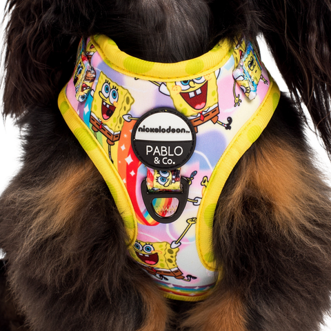 Pablo & Co- SpongeBob SquarePants: Adjustable Harness