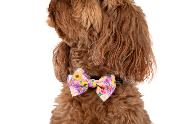 NEW Big And Little Dogs- DOG COLLAR + Bow Tie: Spring Fling