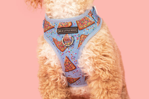 Big And Little Dogs-ADJUSTABLE DOG HARNESS: Blue Fairy Bread