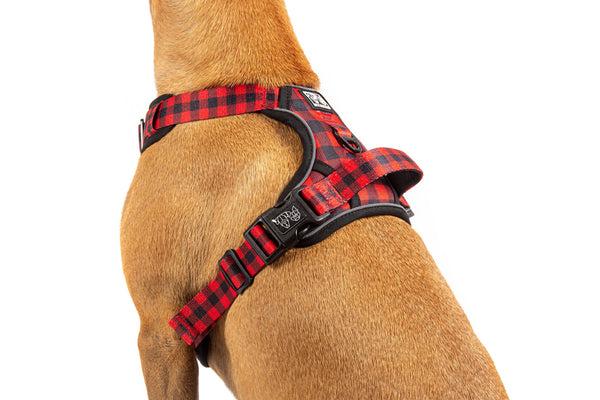 Big and Little Dogs-THE ALL-ROUNDER DOG HARNESS: Plaid to the Bone