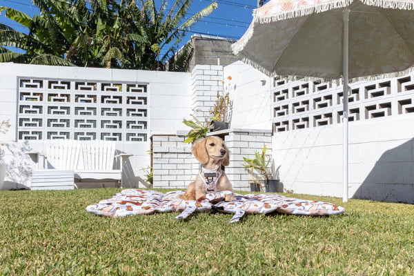 Big And Little Dogs-ON-THE-GO PET MAT: Dashie Lovers/Latte Gingham