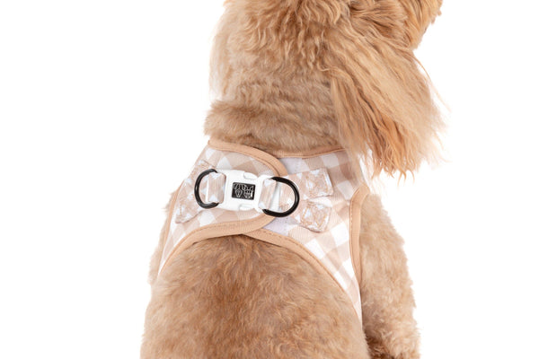Big And Little Dogs-STEP-IN DOG HARNESS: Latte Gingham