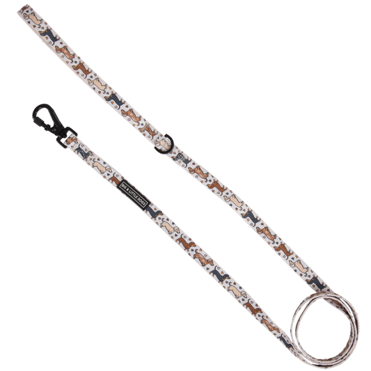 Big And Little Dogs-DOG LEASH: Dashie Lovers