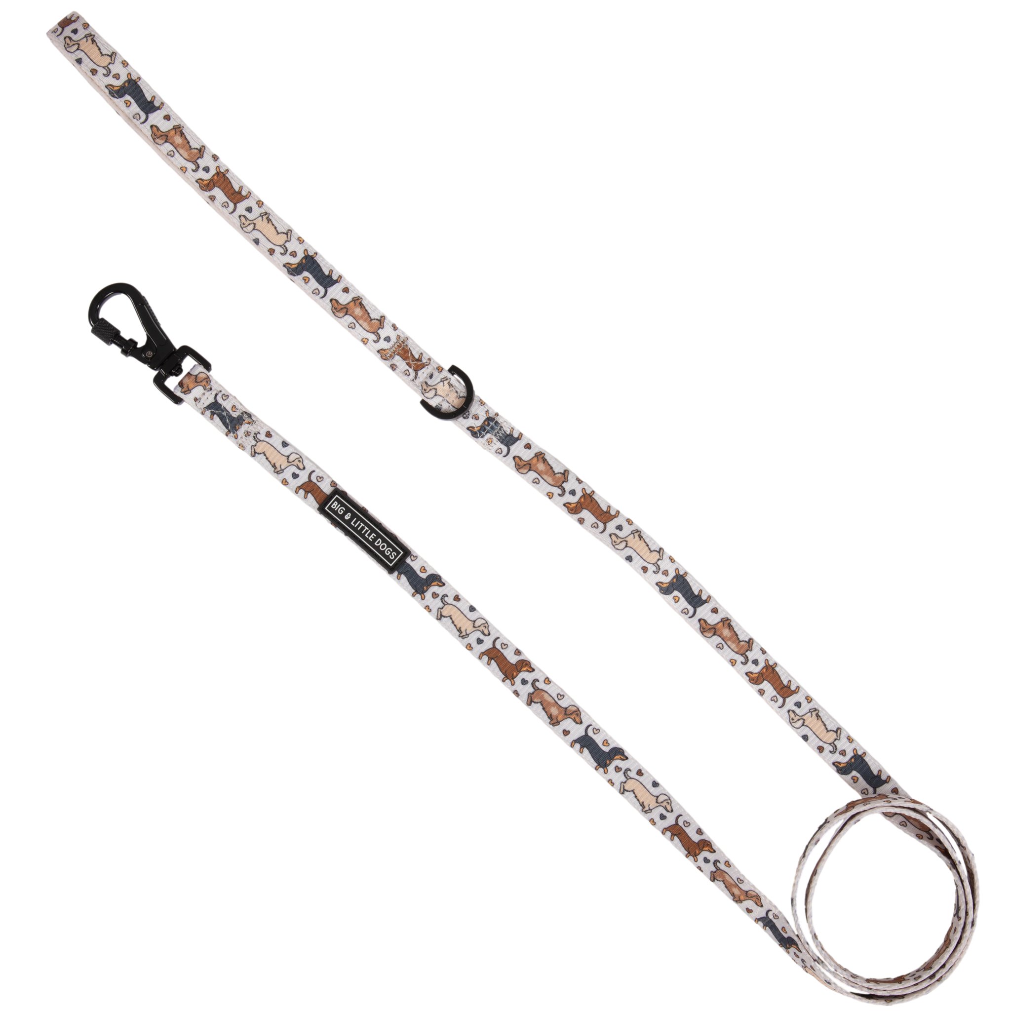 Big And Little Dogs-DOG LEASH: Dashie Lovers