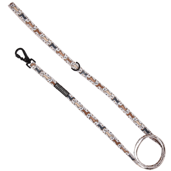 Big And Little Dogs-DOG LEASH: Dashie Lovers