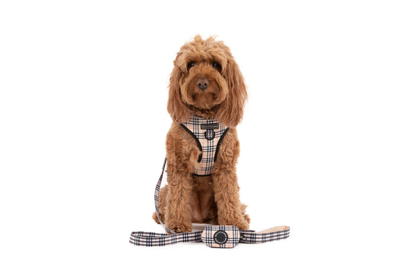Big And Little Dogs-ADJUSTABLE DOG HARNESS: Nova Plaid