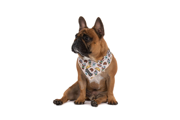 Big And Little Dogs DOG BANDANA: Pupper Cup