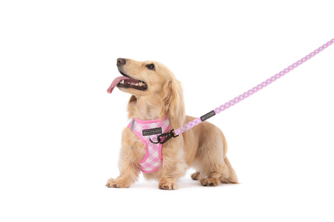 Big And Little Dogs- STEP-IN DOG HARNESS: Pink Milk Gingham