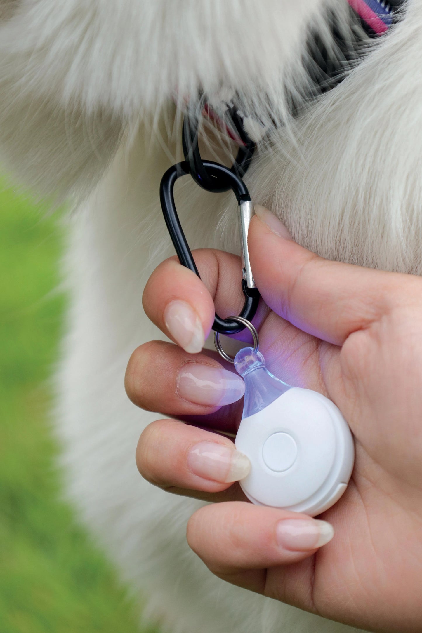 M-Pets Fearless Ultrasonic Flea and Tick Repeller