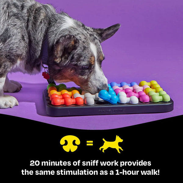 Brightkins Kanoodle Interactive Dog Puzzle Toy- Large