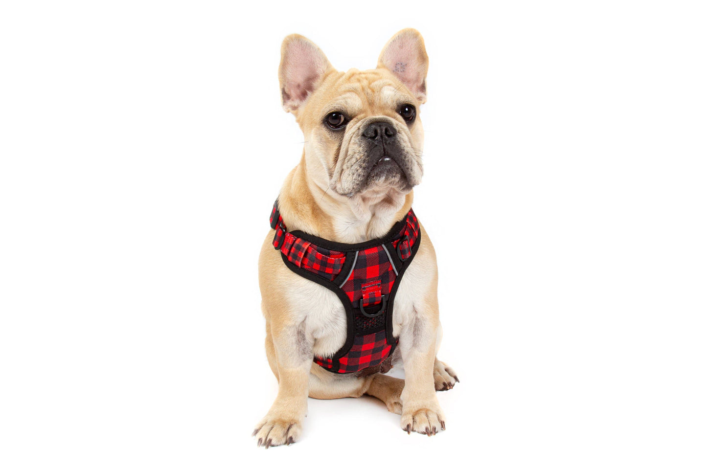 Big and Little Dogs-THE ALL-ROUNDER DOG HARNESS: Plaid to the Bone