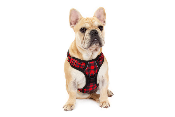 Big and Little Dogs-THE ALL-ROUNDER DOG HARNESS: Plaid to the Bone