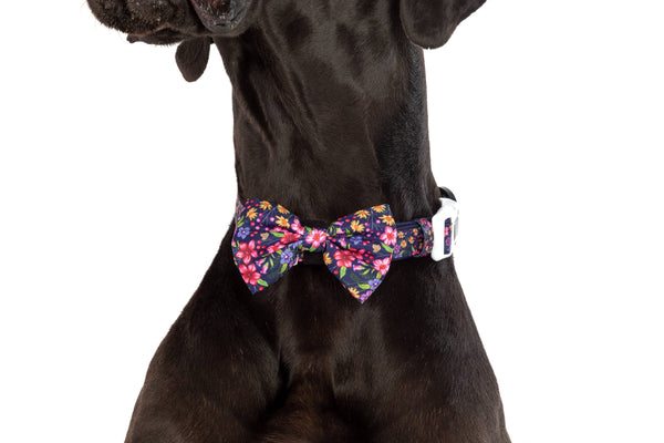 Big and Little Dogs-DOG COLLAR & BOW TIE: Petal Paradise