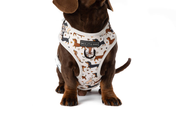 Big And little Dogs-ADJUSTABLE DOG HARNESS: Dashie Lovers