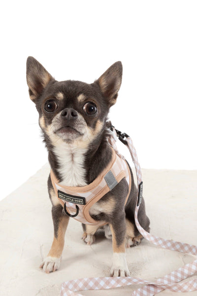 Big And Little Dogs-STEP-IN DOG HARNESS: Latte Gingham