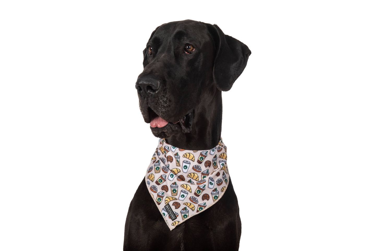 Big And Little Dogs DOG BANDANA: Pupper Cup