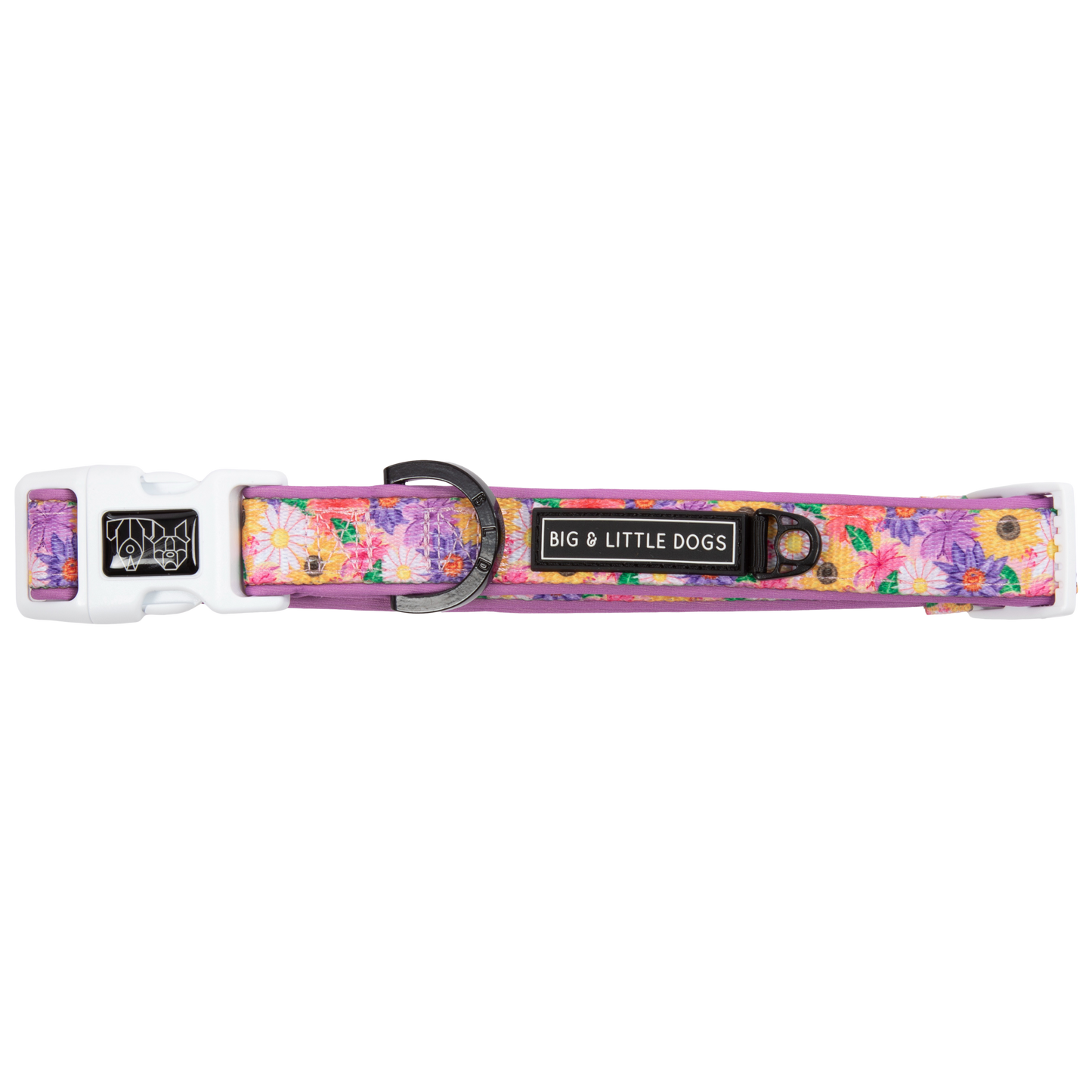 NEW Big And Little Dogs- DOG COLLAR + Bow Tie: Spring Fling