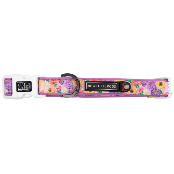 NEW Big And Little Dogs- DOG COLLAR + Bow Tie: Spring Fling