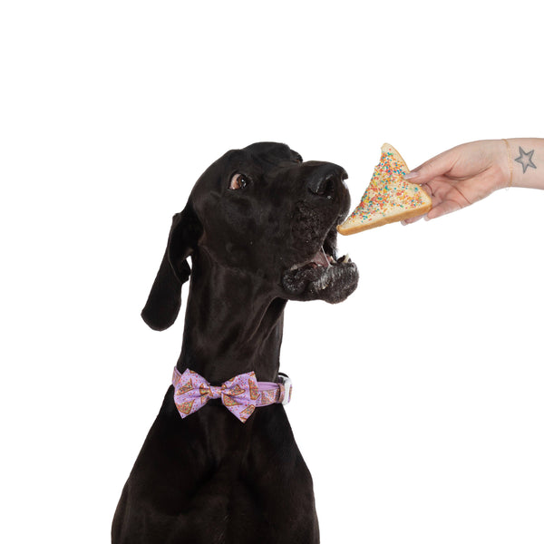 Big and Little Dogs-DOG COLLAR & BOW TIE: Purple Fairy Bread