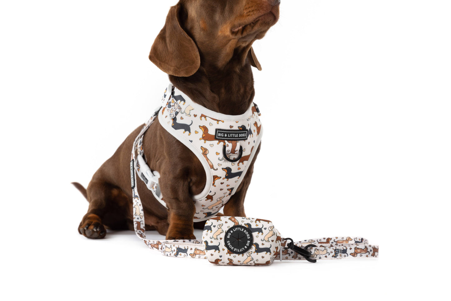 Big And Little Dogs- Dog Poop Bag Holder: Dashie Lovers