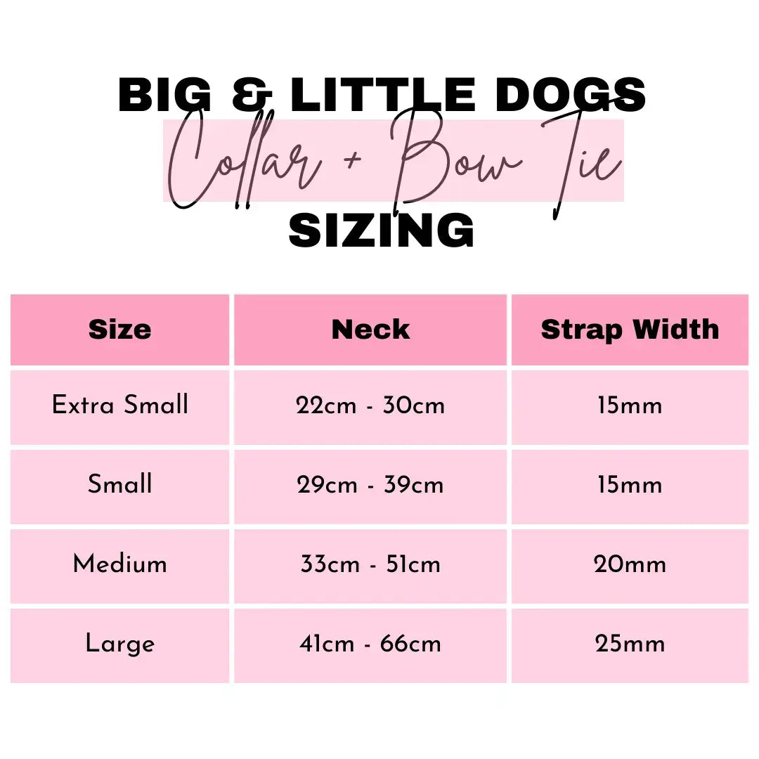 NEW Big And Little Dogs- DOG COLLAR + Bow Tie: Spring Fling