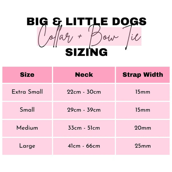 NEW Big And Little Dogs- DOG COLLAR + Bow Tie: Spring Fling