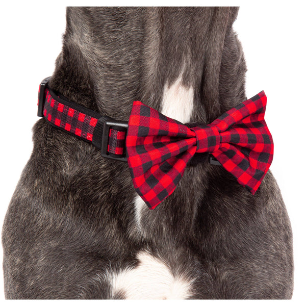 Big and Little Dogs- DOG COLLAR & BOW TIE: Plaid to the Bone