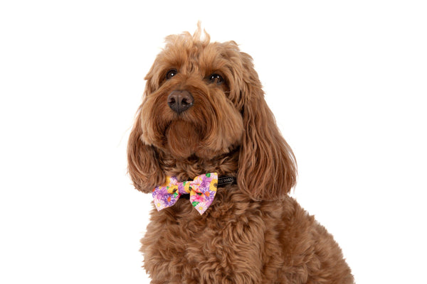 NEW Big And Little Dogs- DOG COLLAR + Bow Tie: Spring Fling