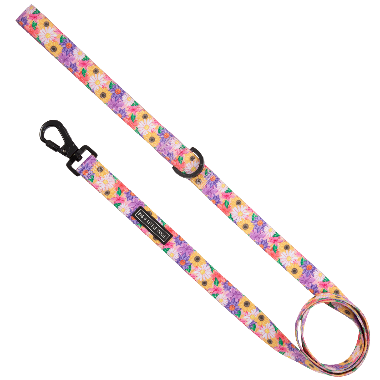 Big And Little Dogs- DOG LEASH: Spring Fling