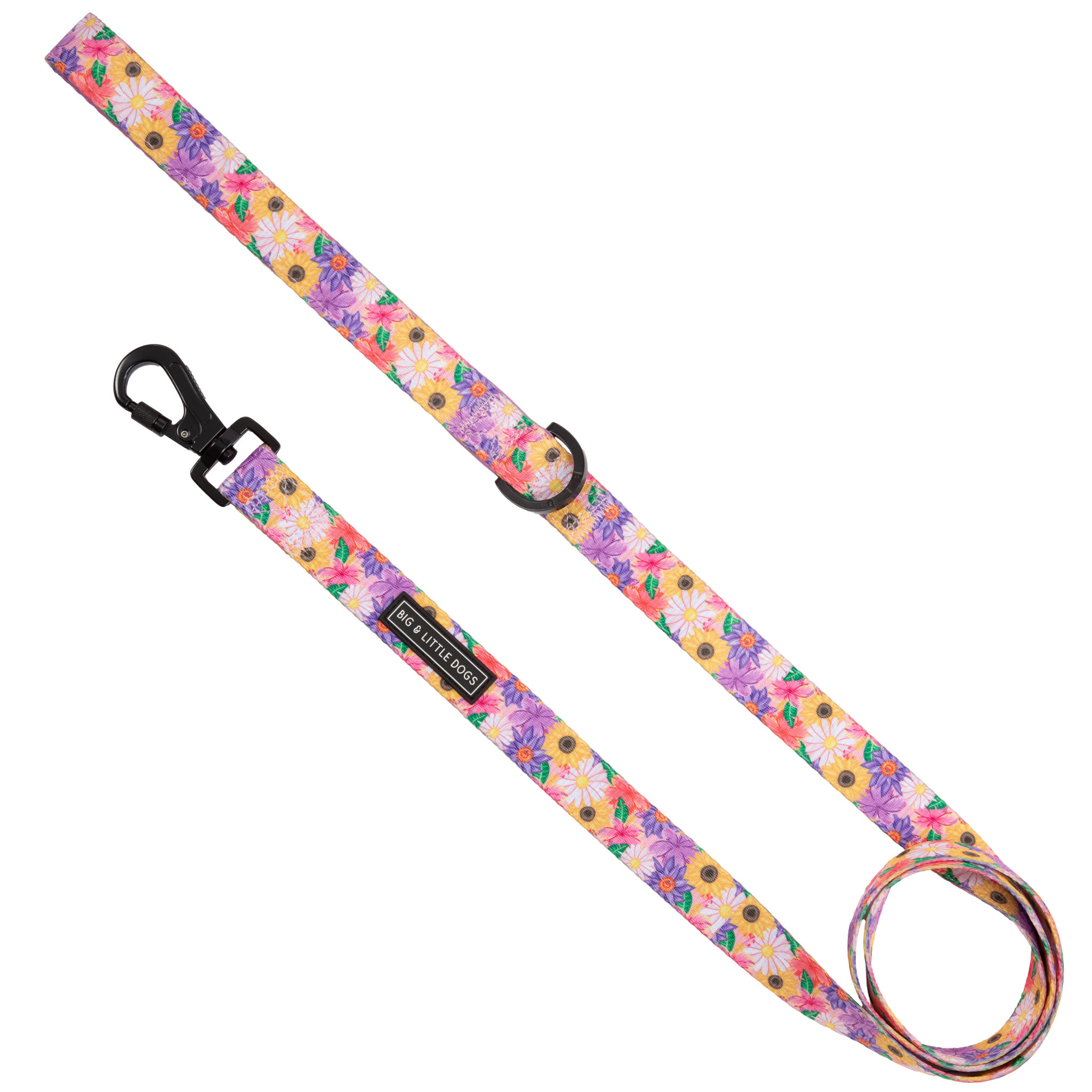 Big And Little Dogs- DOG LEASH: Spring Fling