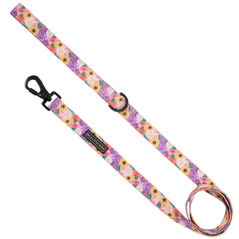 Big And Little Dogs- DOG LEASH: Spring Fling